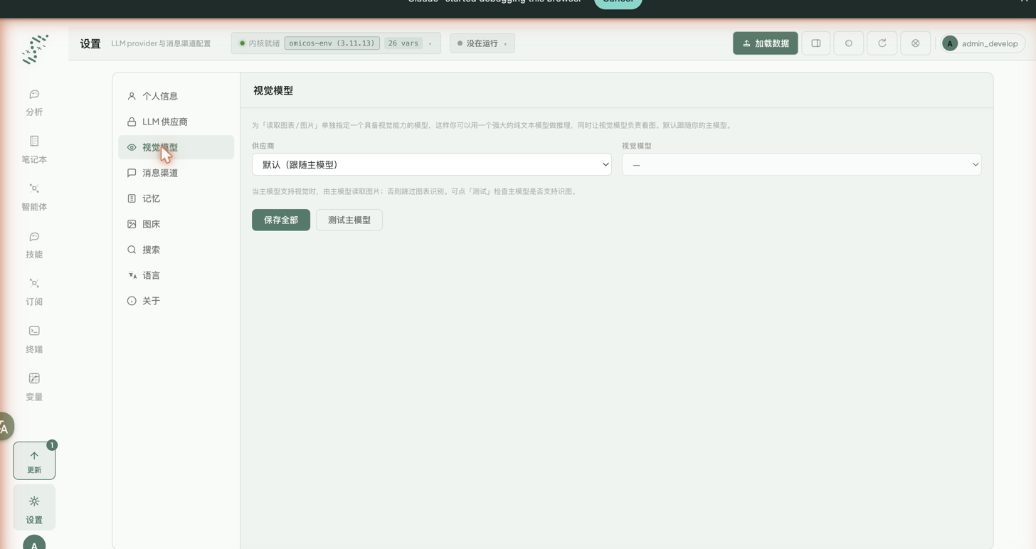 设置 · 视觉模型