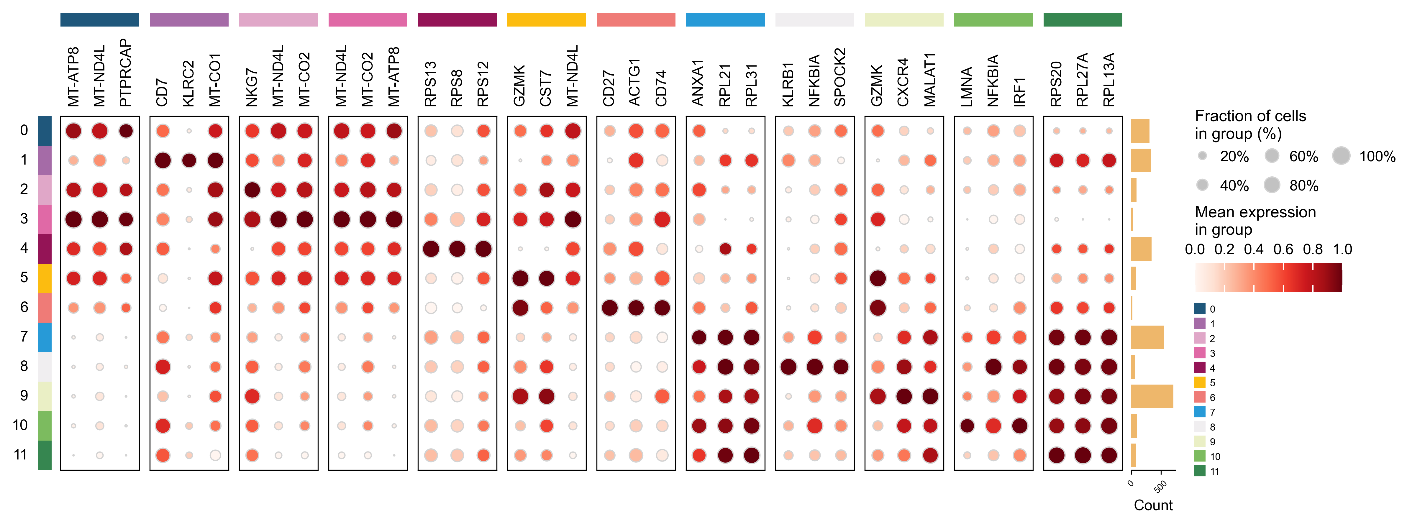 结肠 CD8T 聚类后的 marker dotplot