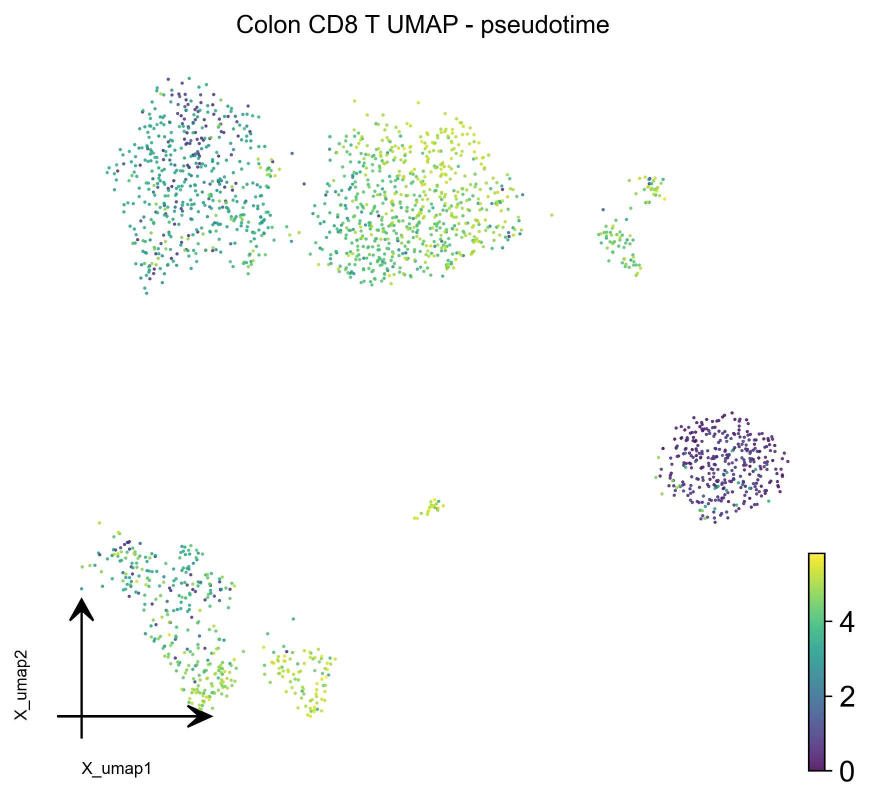CD8T 原 UMAP 按伪时间着色