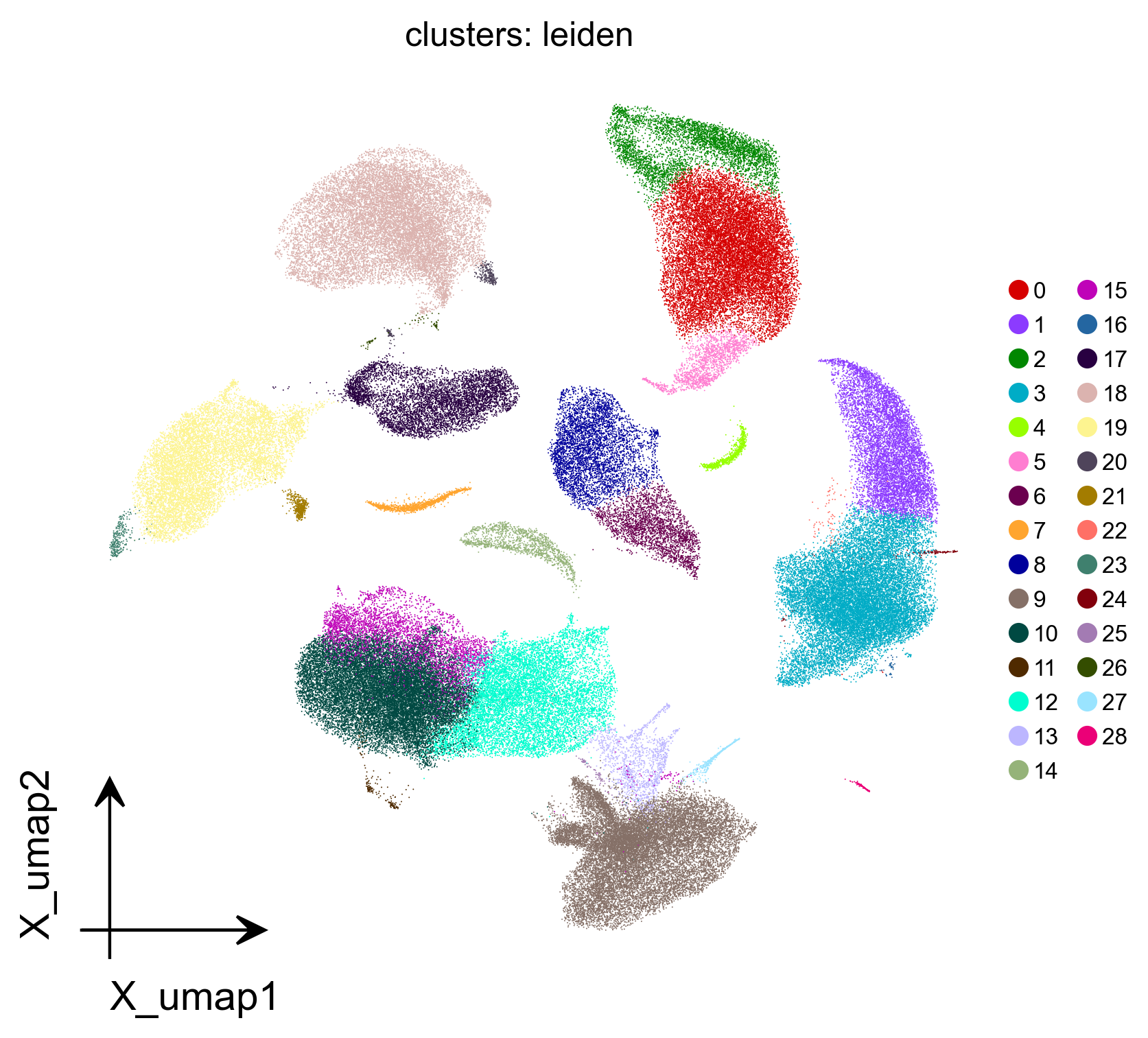 注释前的 29 个 Leiden cluster UMAP