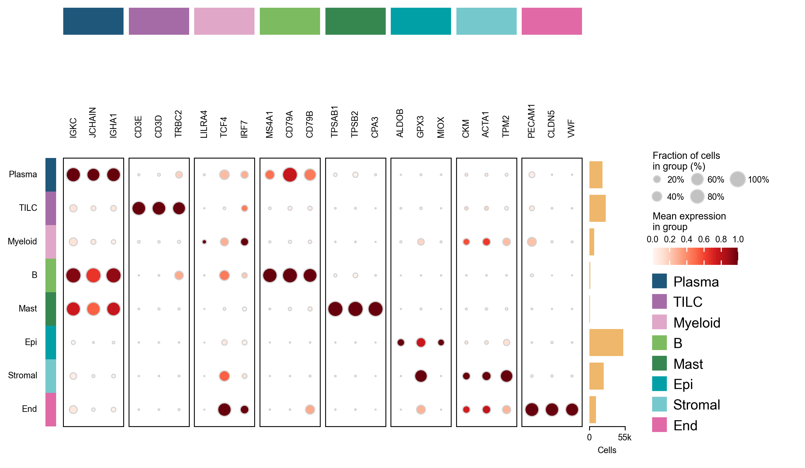 八个细胞大类的 marker dotplot