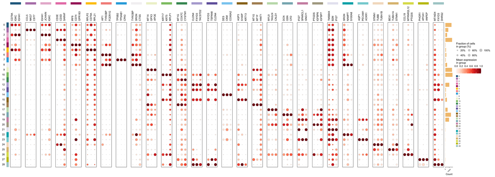 Leiden 0.8 各 cluster 的 marker dotplot